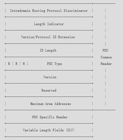 image-20250314040107741