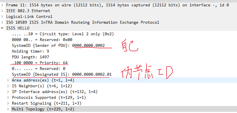 image-20250314044955328