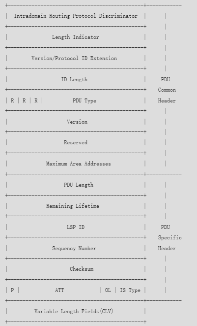 image-20250314050640052