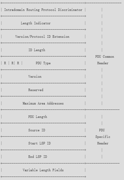 image-20250314051646241