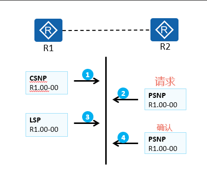 image-20250314054801476