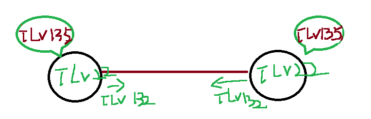 image-20250314070913016