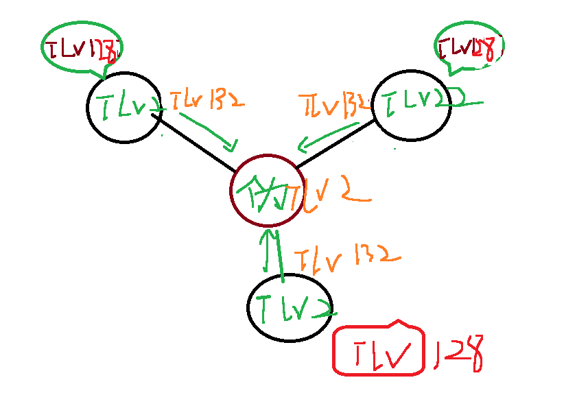 image-20250314071039152