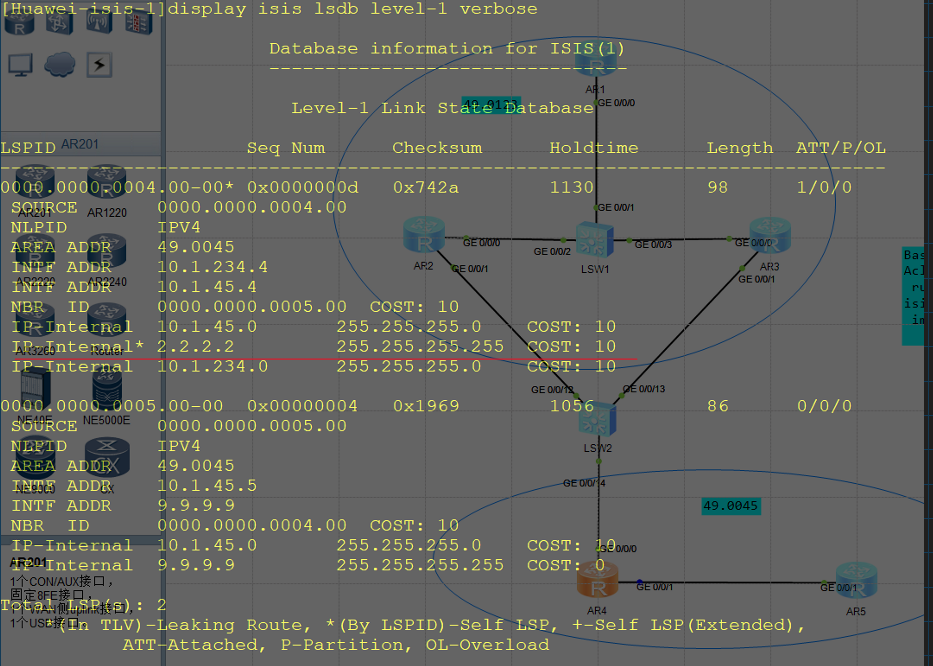 image-20250314073327448