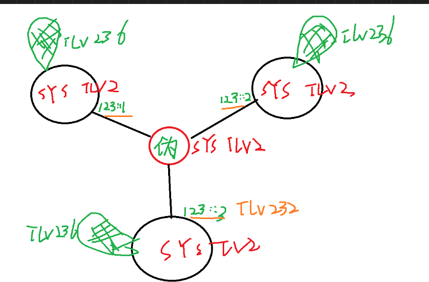 image-20250314080048774