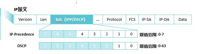 image-20250311034941691