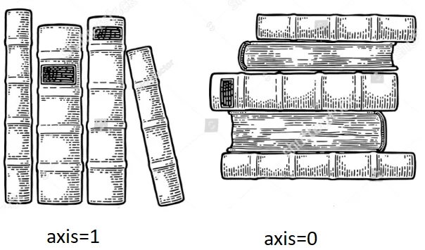 axis参数讲解