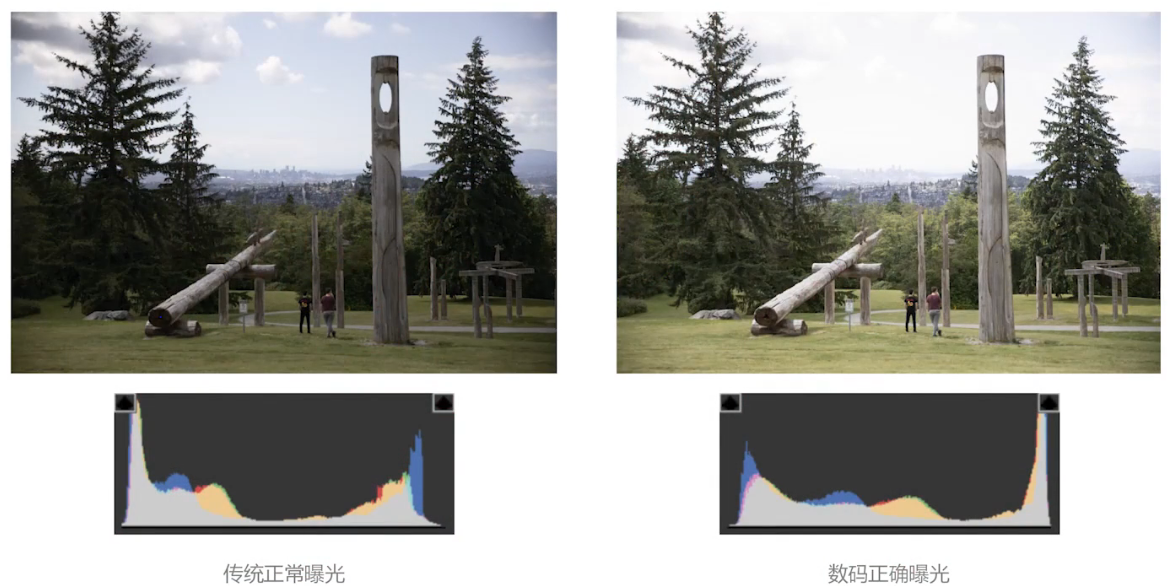 image-20241208214958992