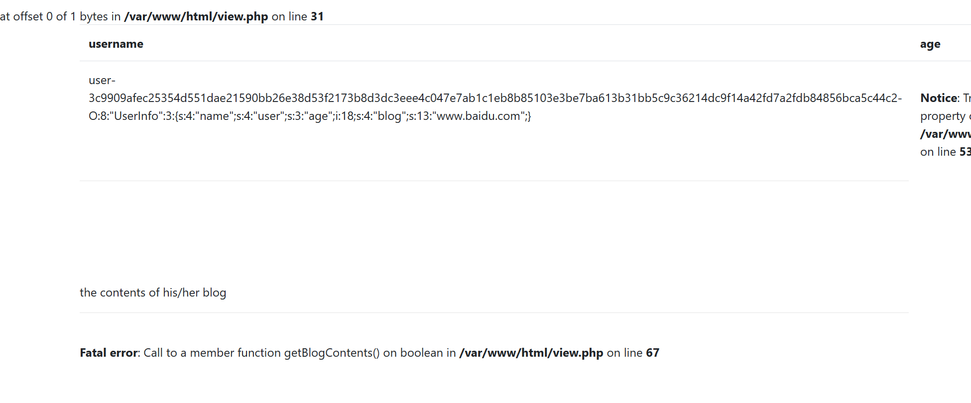 image-20240523190808126