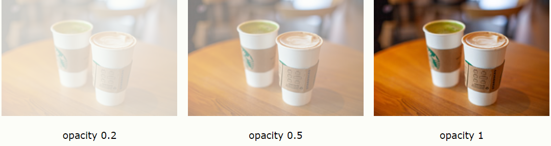 image-20240419164619657