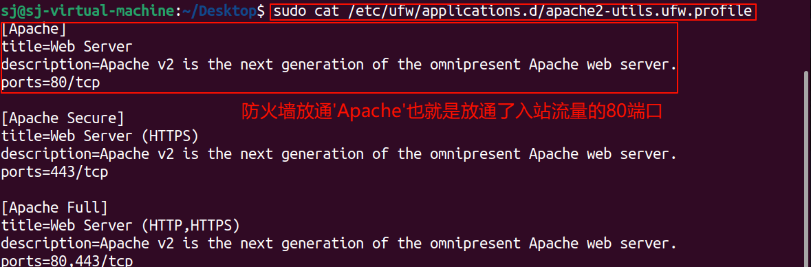 image-20250108213206169