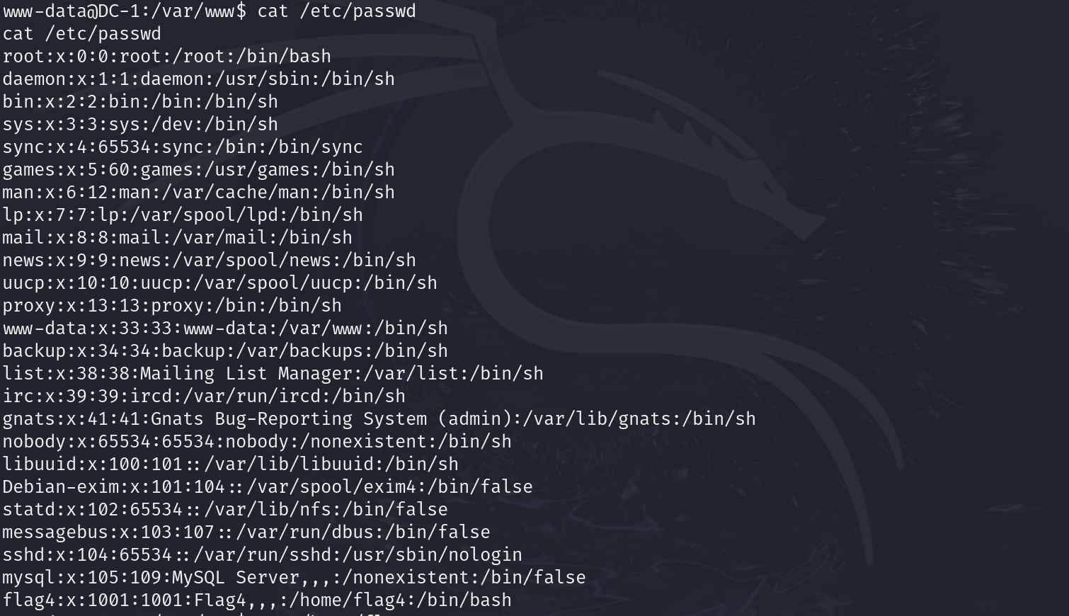 image-20240730022202311