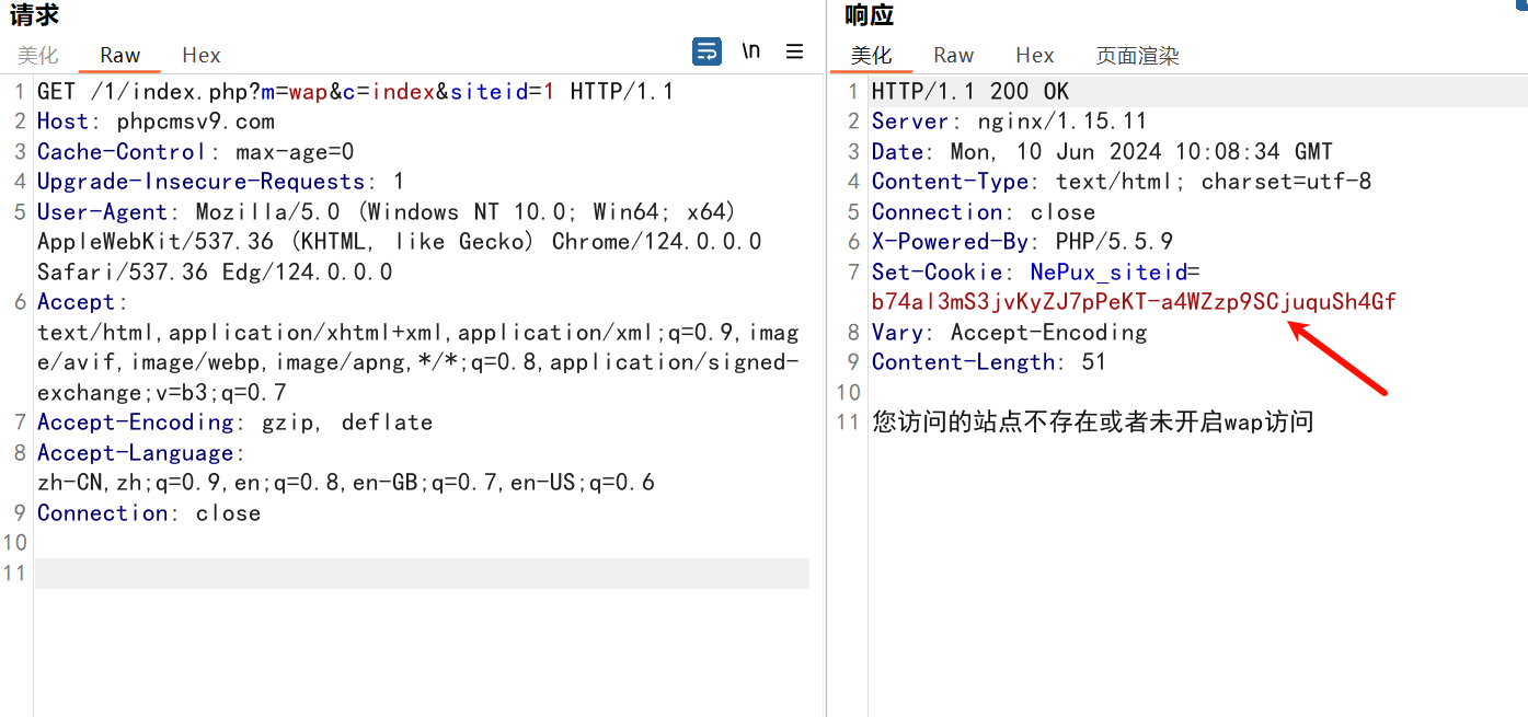 Clip_2024-06-10_18-11-20