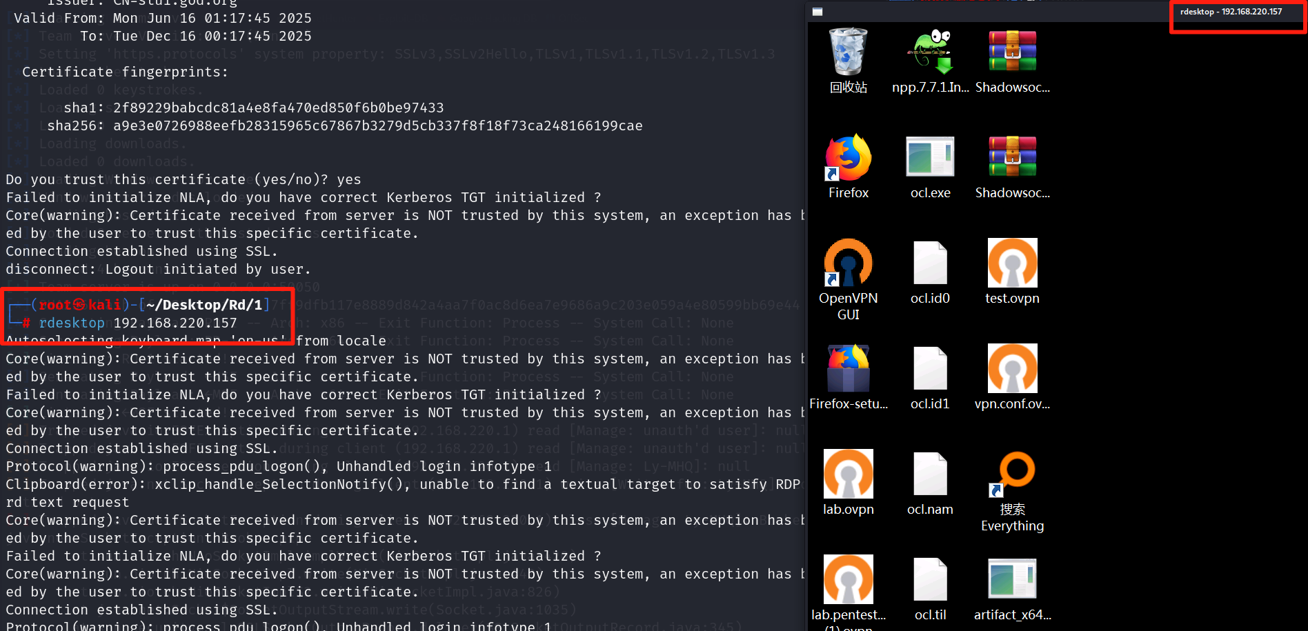 image-20250617132847730