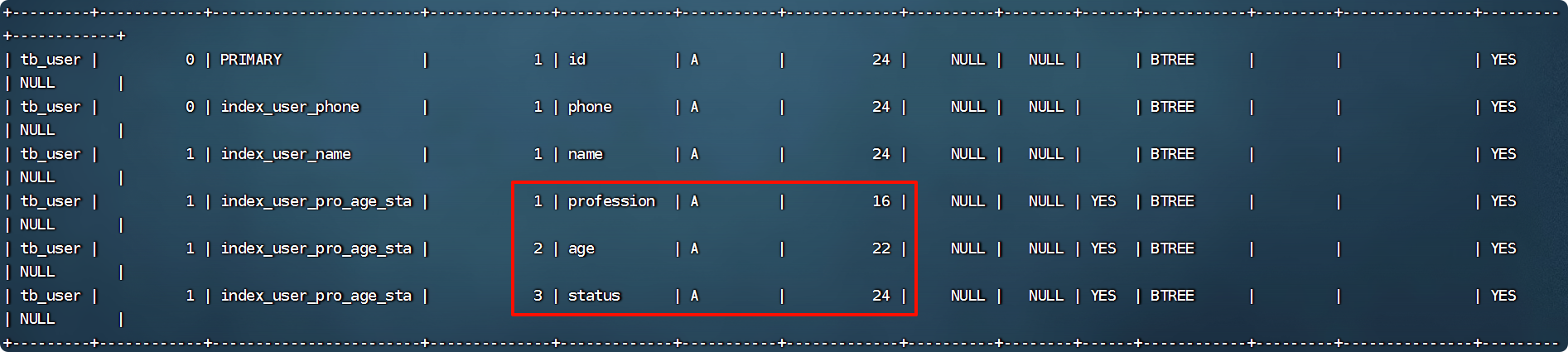 image-20241013145203355