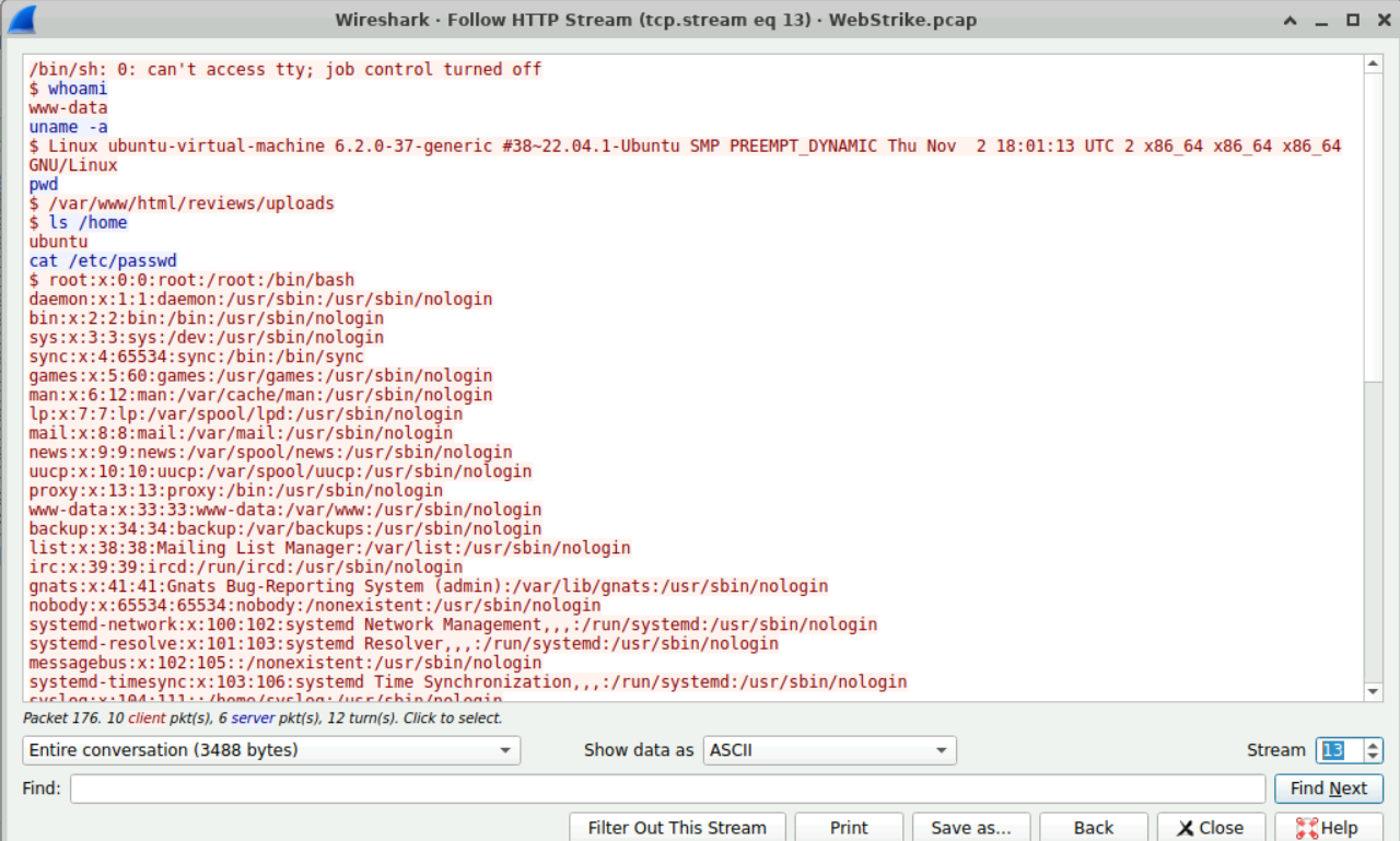 image-20250215181953493