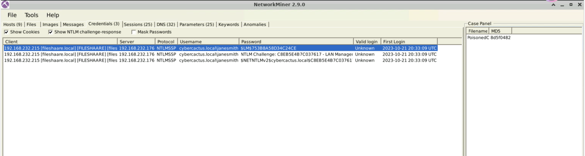 image-20250216213959682