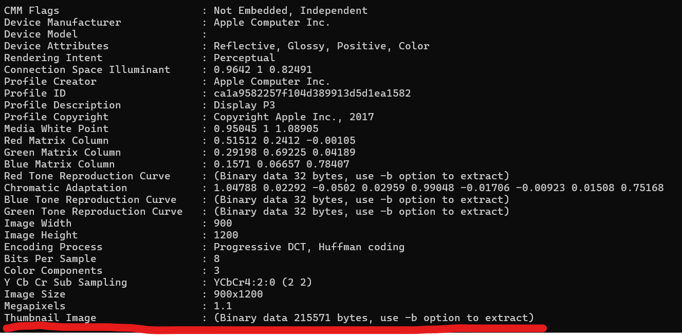 image-20241201163603516