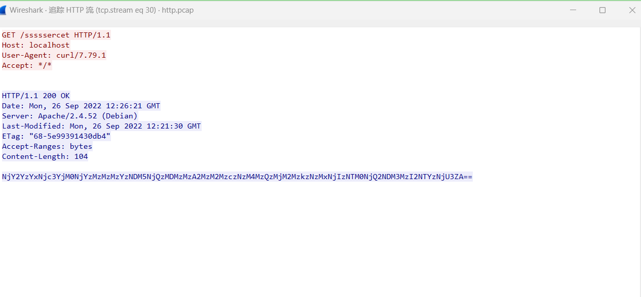 image-20241206213006605