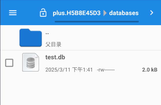 image-20250311135221119