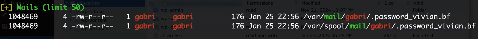 image-20250312144738799