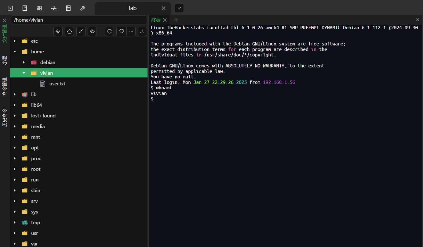 image-20250312145116426