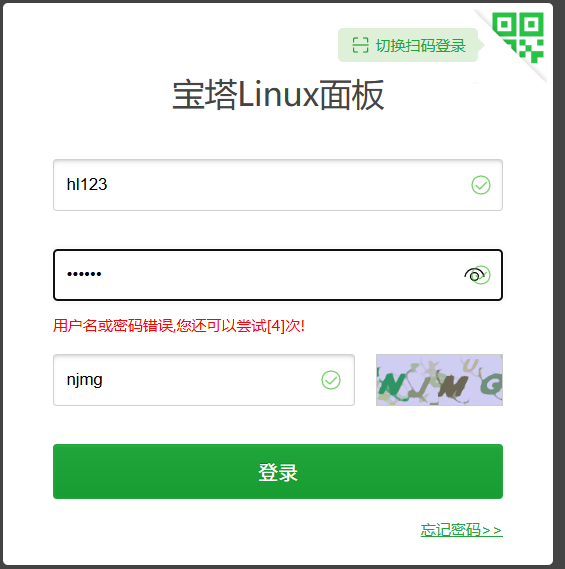 image-20250313131333227