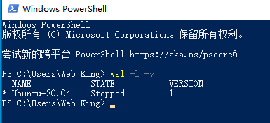 image-20250401113559174