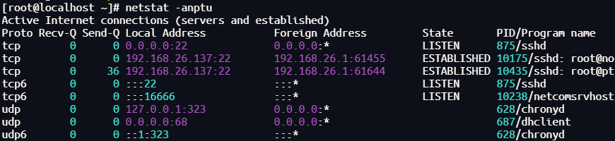image-20250401164615799