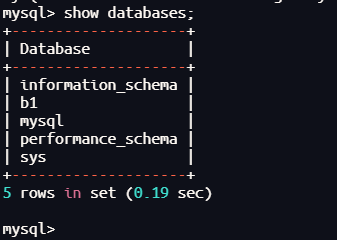 image-20250401195510004