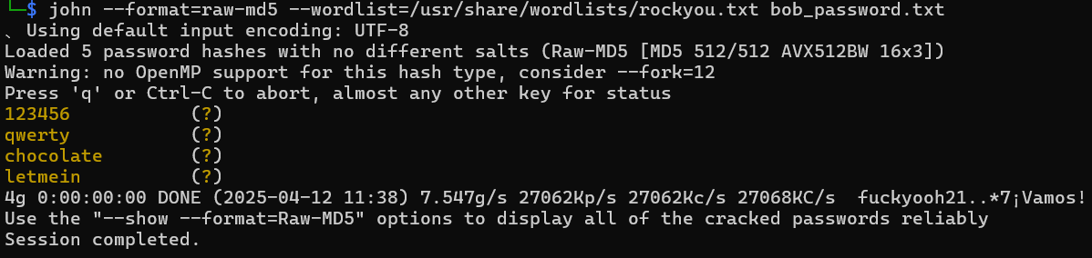 image-20250412113903287