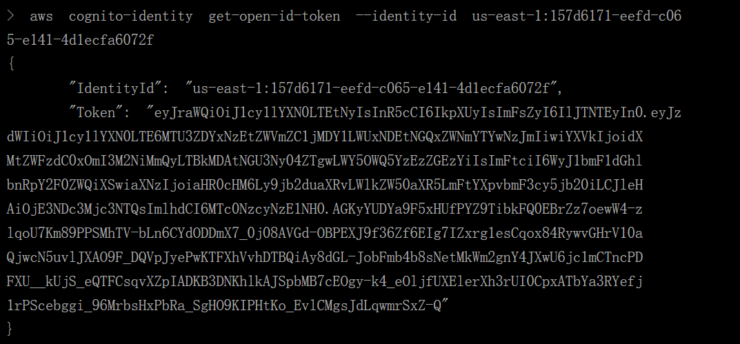 image-20250520154603778