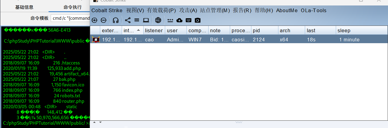 image-20250523092326476