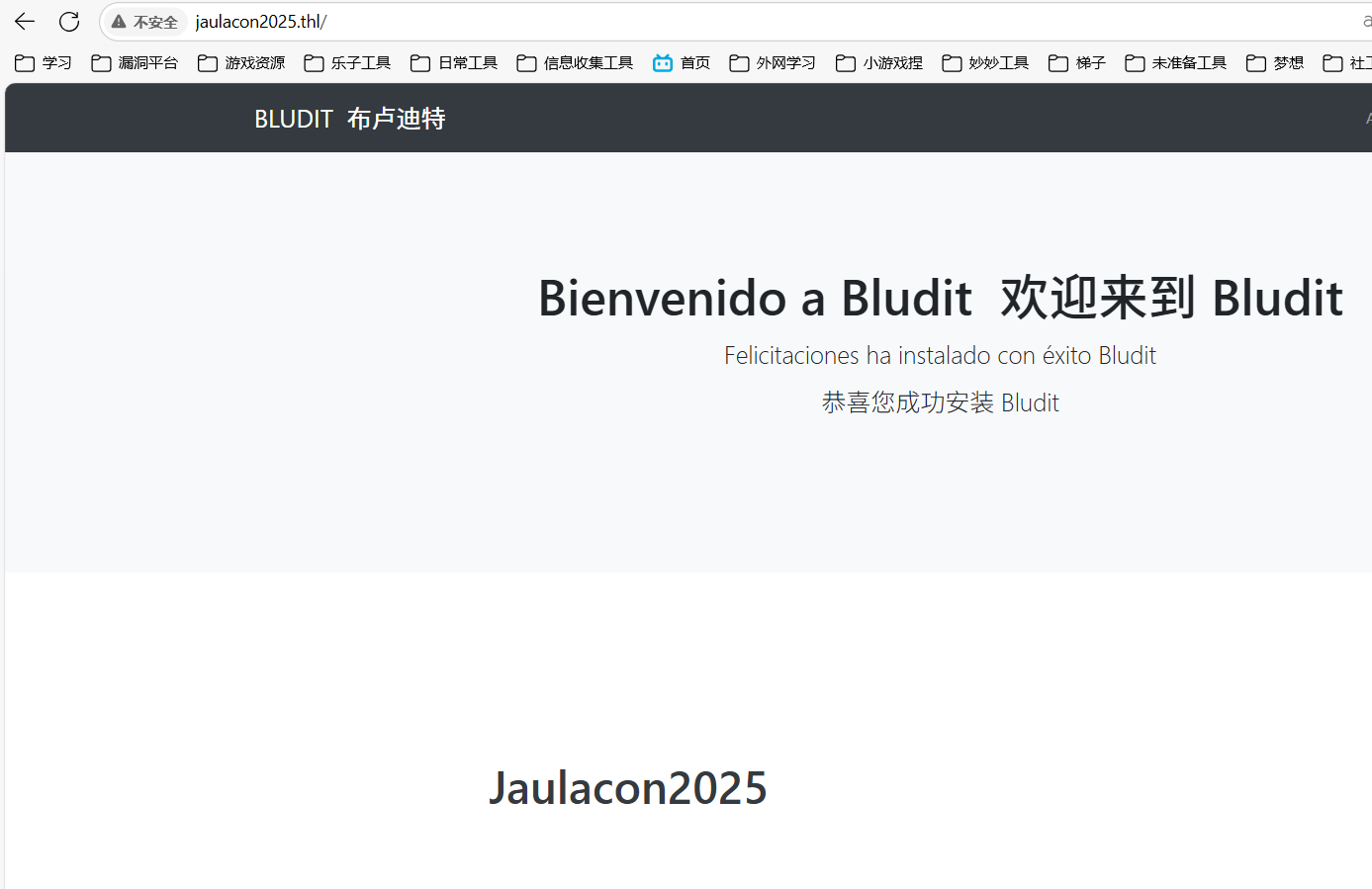 image-20250524213156757