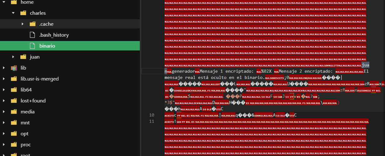 image-20250528235048431