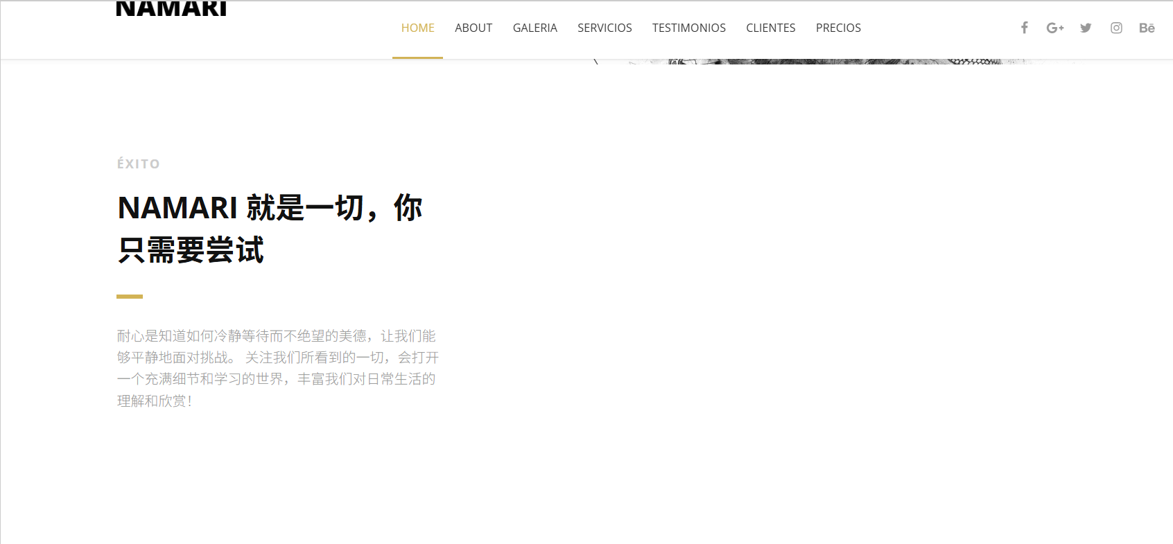 image-20250529134201933