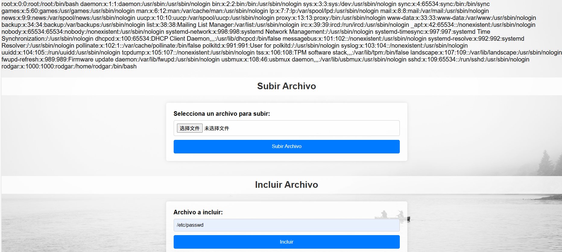 image-20250529134355337