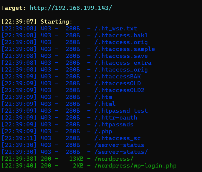 image-20250603224242005