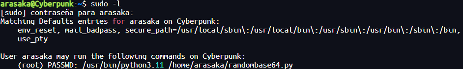 image-20250604181335519